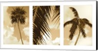 South Beach Palms Fine Art Print