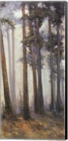 Silver Trees II Fine Art Print