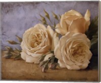 Roses From Ivan Fine Art Print