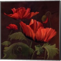 Vibrant Red Poppies II Fine Art Print