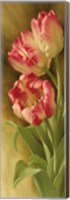 Spring's Parrot Tulip II Fine Art Print