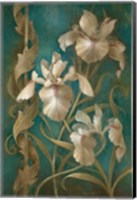 Irises on Teal Fine Art Print