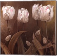 Sepia Tulips II Fine Art Print