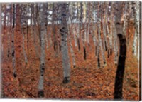 Forest of Beeches, c.1903 Fine Art Print