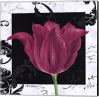 Damask Tulip IV Fine Art Print