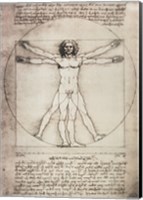 Vitruvian Man, 1492 Fine Art Print