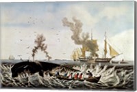 Currier and Ives - Whale Fishery Fine Art Print