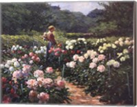 Woman in a Garden of Peonies Fine Art Print