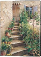 Stairway in Provence Fine Art Print