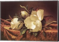 Magnolia On Gold Velvet Cloth Fine Art Print