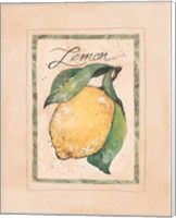 Vintage Lemon Fine Art Print