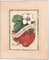 Vintage Strawberry Fine Art Print