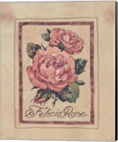 Vintage Felicia Rose Fine Art Print