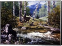 Rocky Mountain Deer Fine Art Print