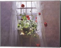 Red Geraniums (Small) Fine Art Print