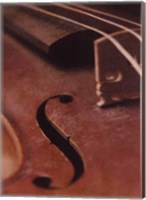 Violin IV Fine Art Print