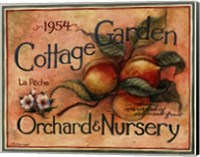 Cottage Garden IV Fine Art Print