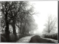 Misty Tree-Lined Road Fine Art Print
