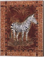 Lone Zebra Fine Art Print