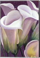 Purple Lillies Fine Art Print