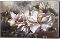 Dawning Magnolias Fine Art Print