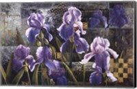 Iris Garden Fine Art Print