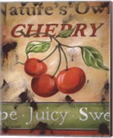 Cherry Fine Art Print