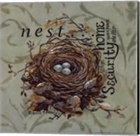 Nest Fine Art Print
