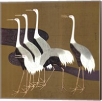 Cranes Fine Art Print
