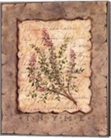 Vintage Herbs - Thyme Fine Art Print