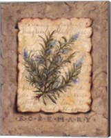 Vintage Herbs - Rosemary Fine Art Print