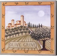Olive Grove IV Fine Art Print