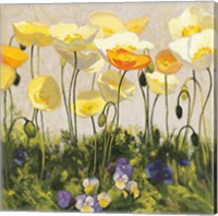 Poppies and Pansies II Fine Art Print