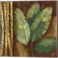 Bamboo & Palms I Fine Art Print