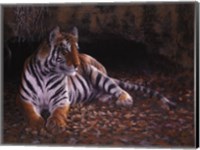 Tiger's Lair Fine Art Print