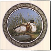 Two Ducks, (The Vatican Collection) Fine Art Print