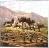 Village At Vaucluse Fine Art Print
