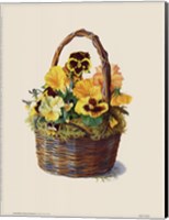 Sunshine Pansy Basket Fine Art Print