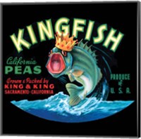 Kingfish Fine Art Print