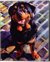 Handsome Rottie Fine Art Print