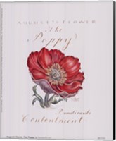 August's Flower, The Poppy Fine Art Print