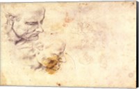 W.60 Sketch of a male head, in two positions Fine Art Print