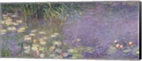 Waterlilies: Morning, 1914-18 (left section) Fine Art Print