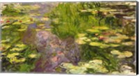 Waterlilies (green horizontal) Fine Art Print
