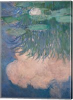 Waterlilies, detail, 1914-17 Fine Art Print