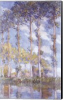 The Poplars, 1881 Fine Art Print