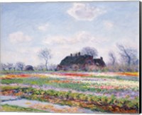 Tulip Fields at Sassenheim, near Leiden, 1886 Fine Art Print