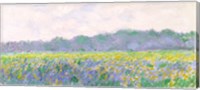 Field of Yellow Irises at Giverny, 1887 Fine Art Print