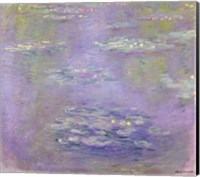 Waterlilies, 1903 (purple) Fine Art Print