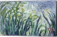 Yellow and Purple Irises, 1924-25 Fine Art Print
